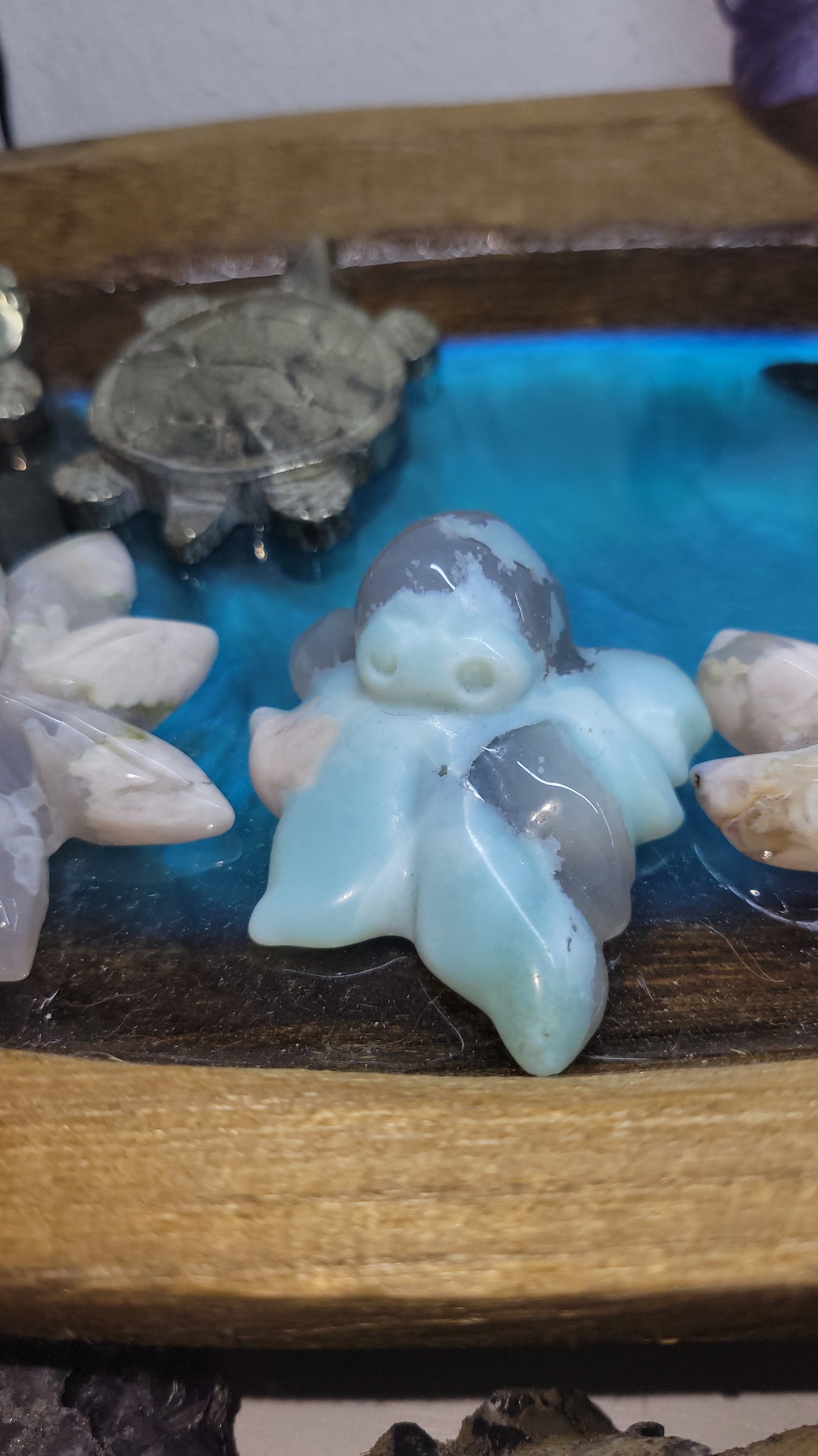 Flower agate octopuses