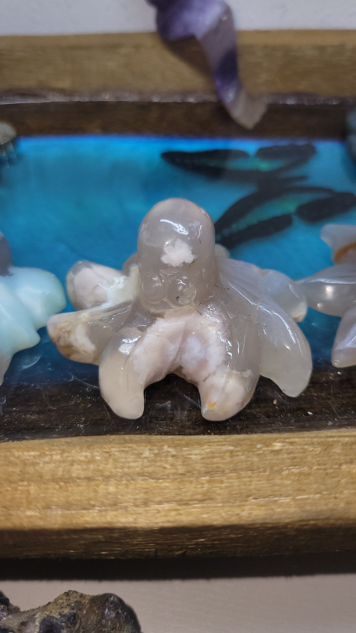 Flower agate octopuses