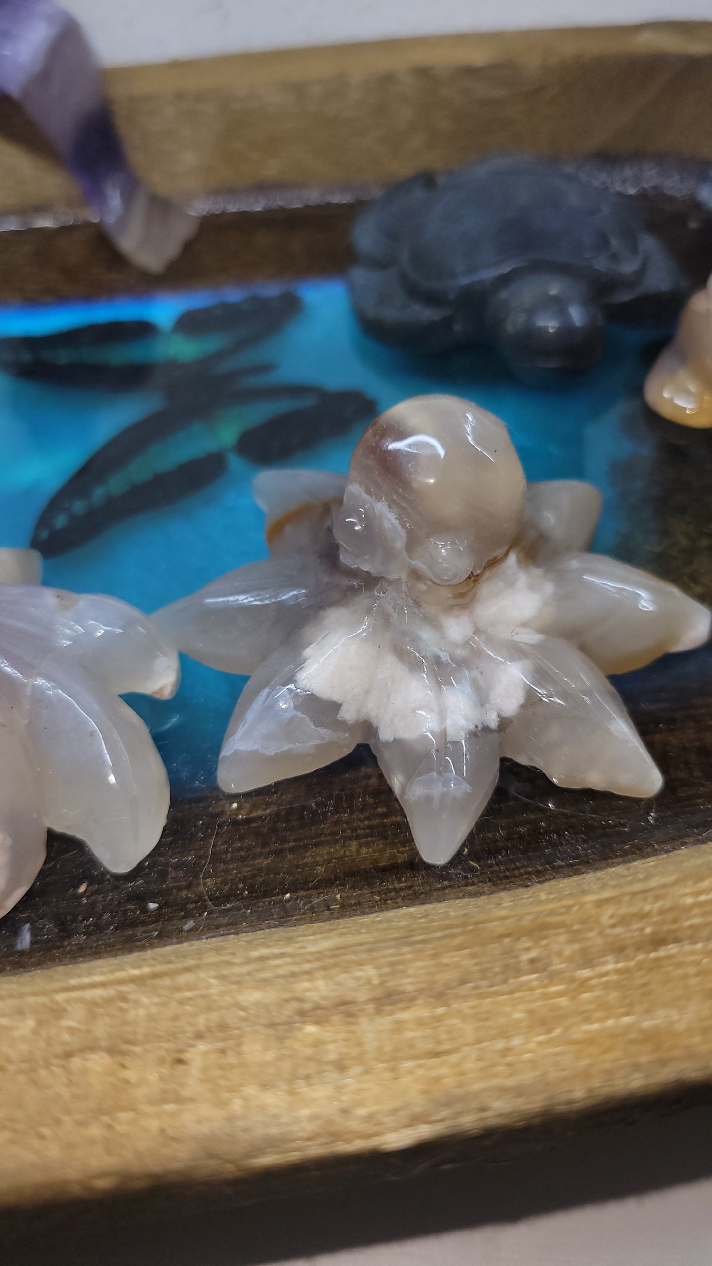 Flower agate octopuses
