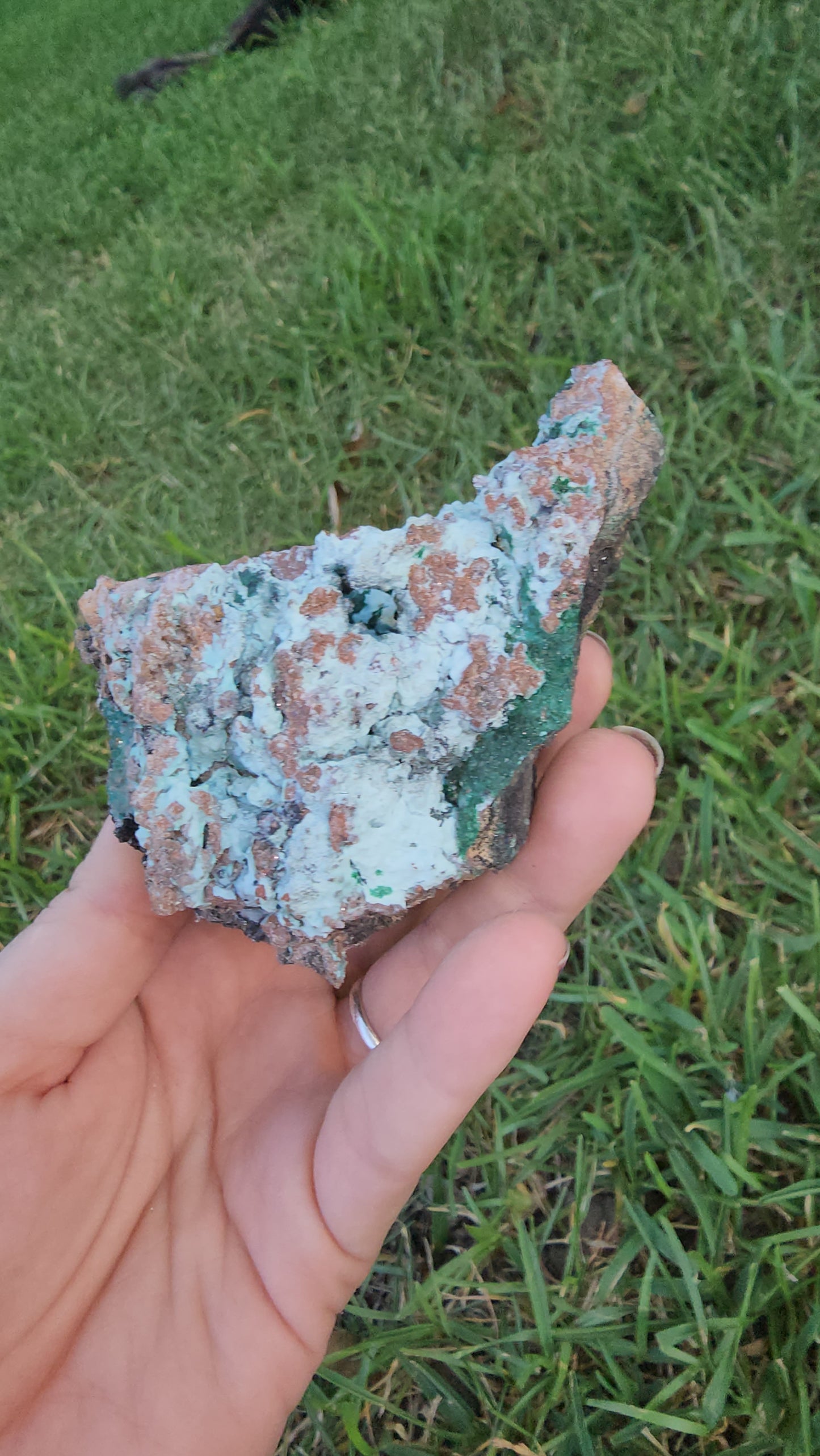 Druzy Chrysocolla Malachite & Dolomite Specimen