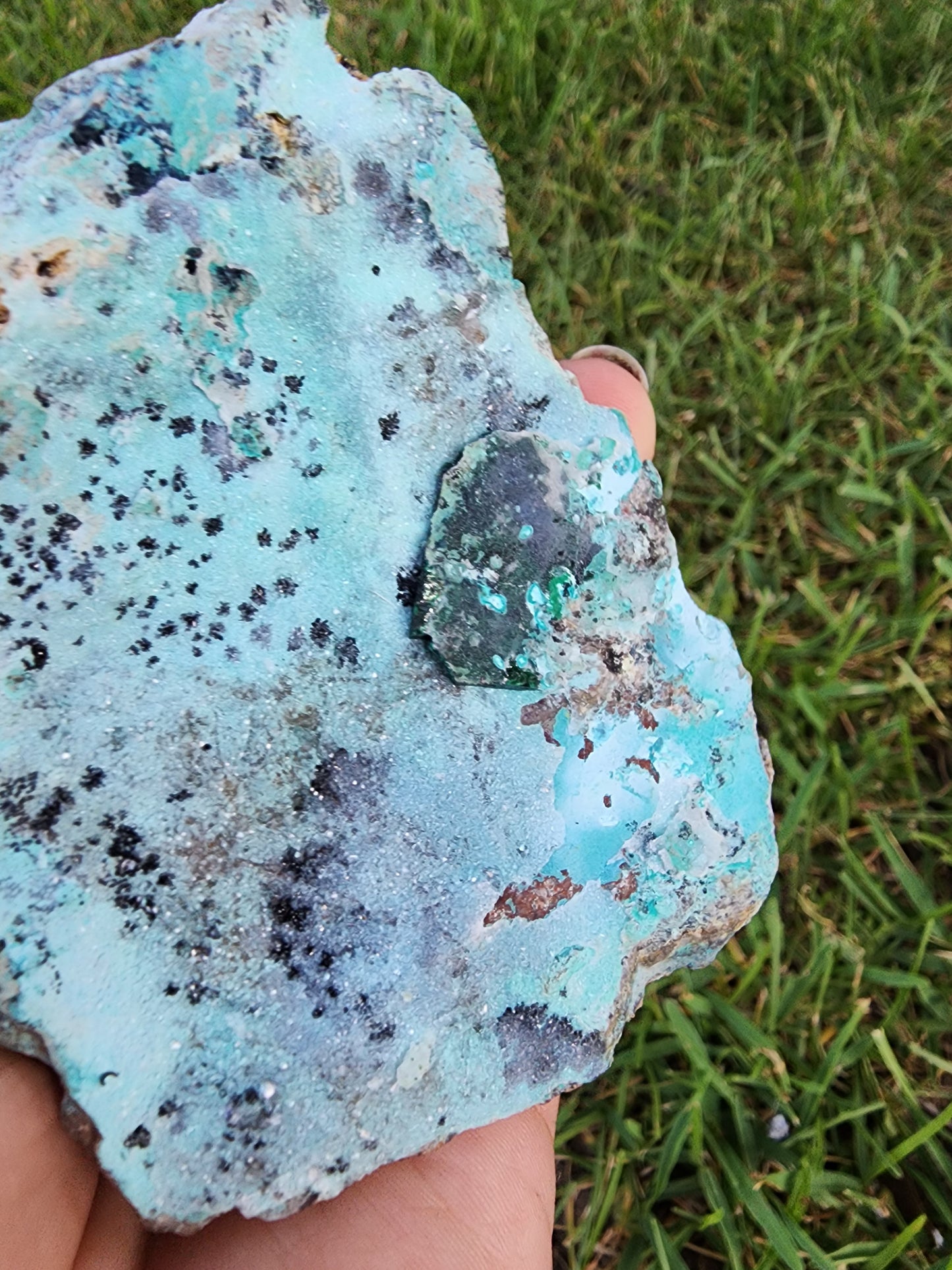 Druzy Chrysocolla Malachite & Dolomite Specimen