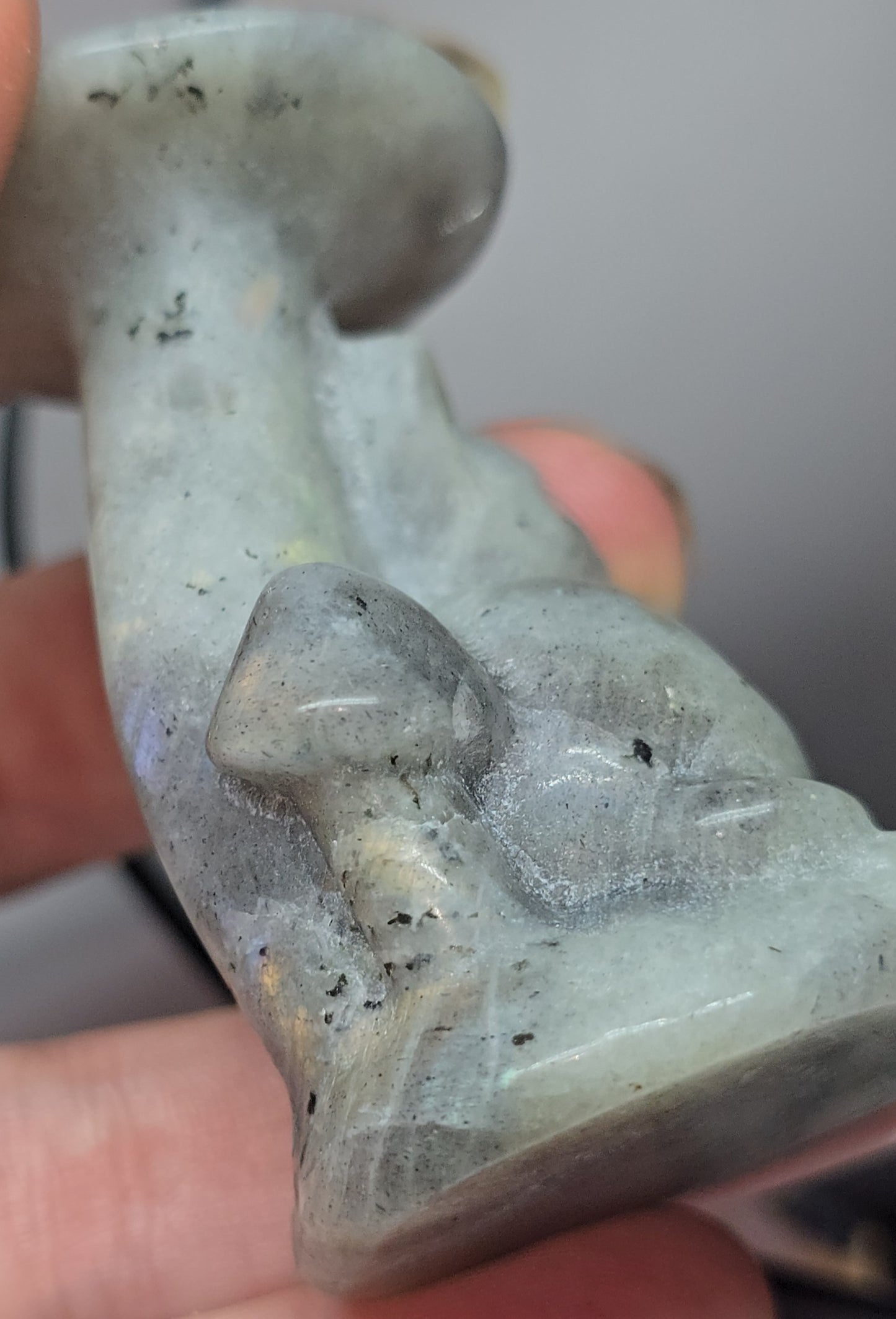 Crystal carved Cats / kittens, under mushie / carved mushrooms- labradorite