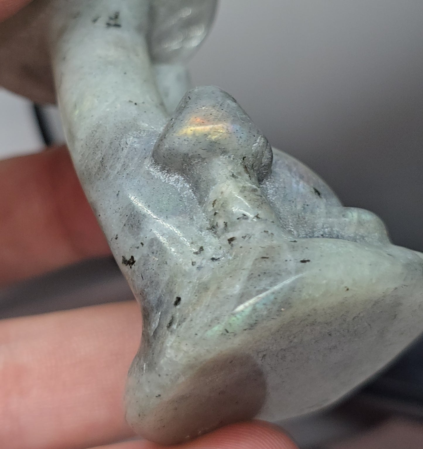 Crystal carved Cats / kittens, under mushie / carved mushrooms- labradorite