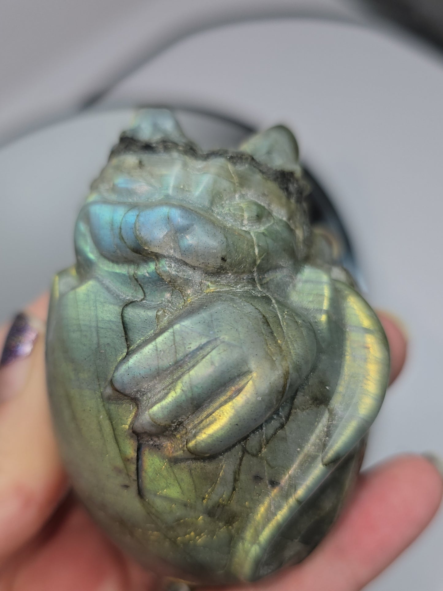Baby Labradorite dragon in egg