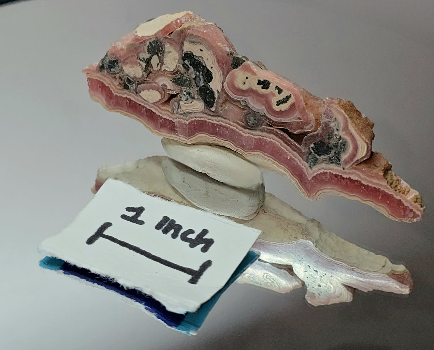 rhodochrosite stalactite slice polished 2 sided from Argentina