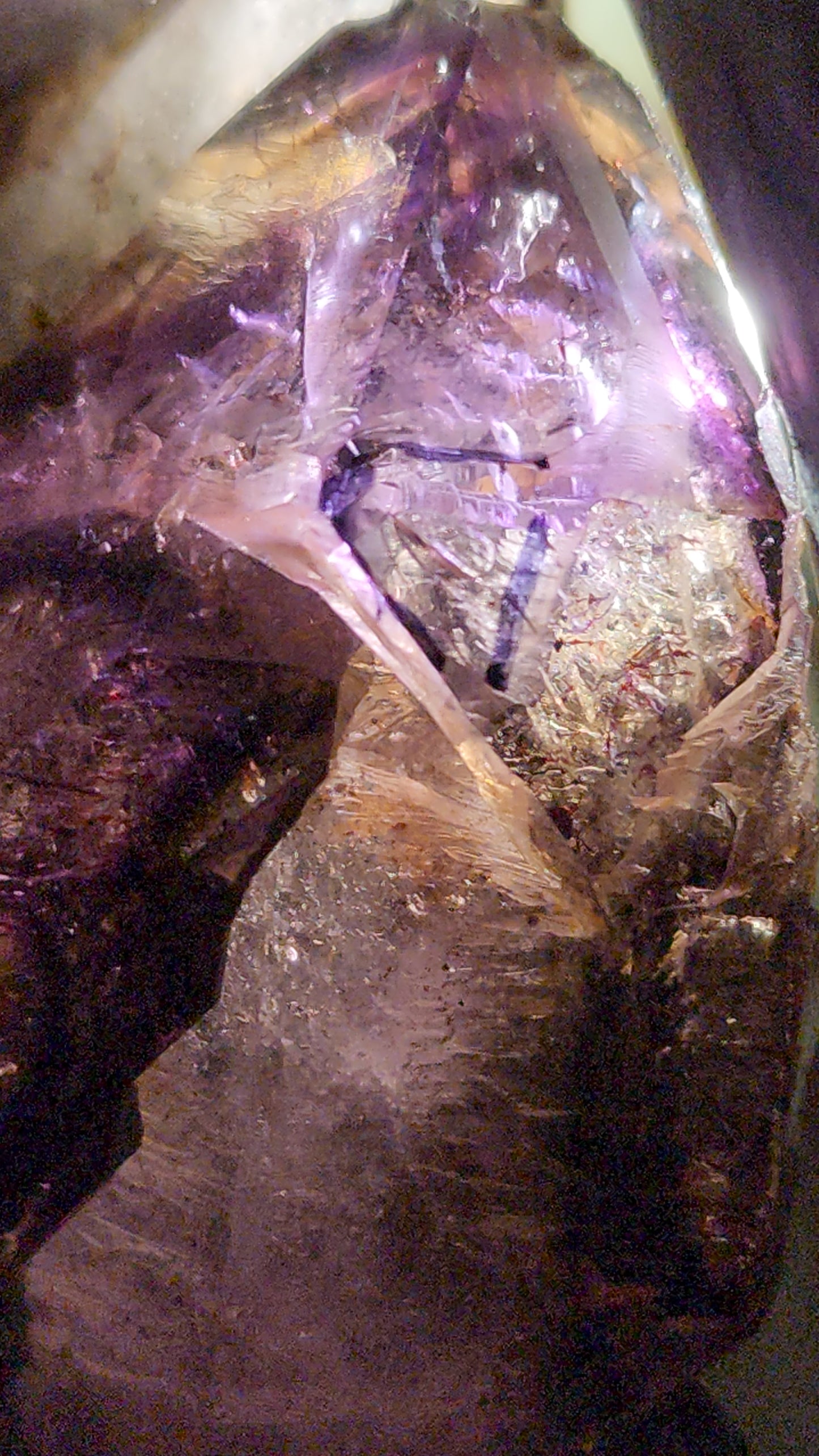 Rare Window Scepter Smoky Amethyst Still Intact Of Nodule / Geode Form Specime With Enydhro