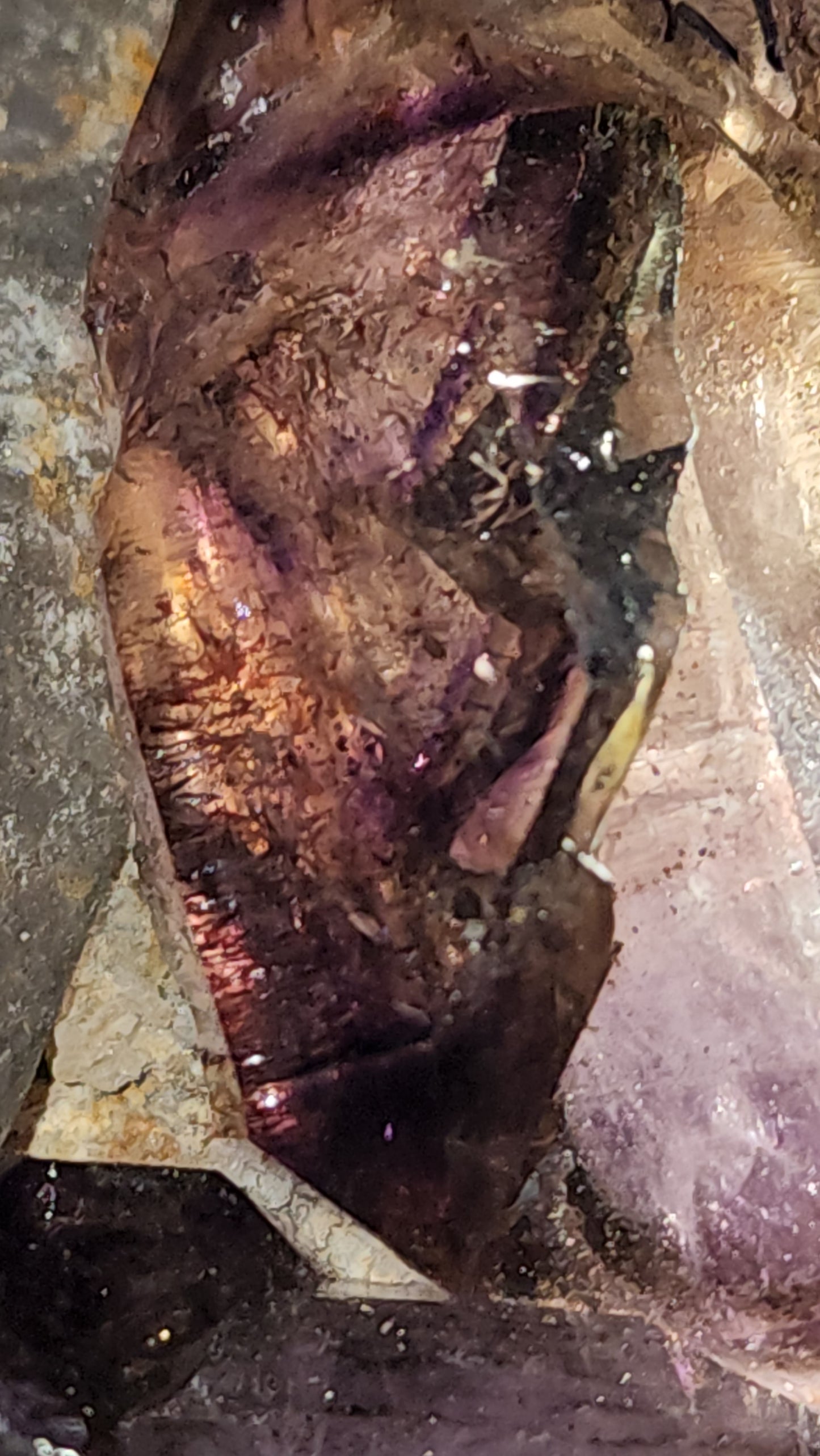 Rare Window Scepter Smoky Amethyst Still Intact Of Nodule / Geode Form Specime With Enydhro