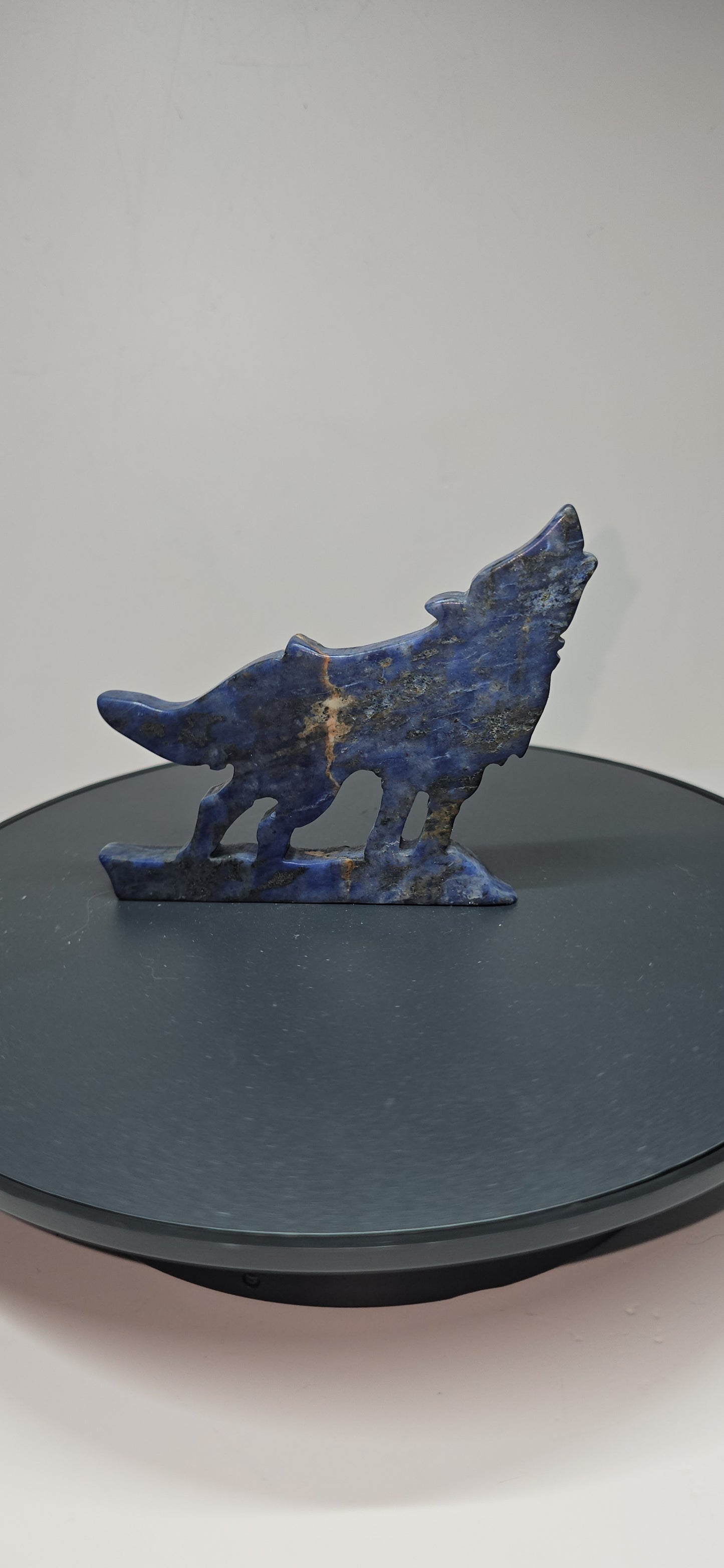 Flat standing sodalite crystal howling wolf