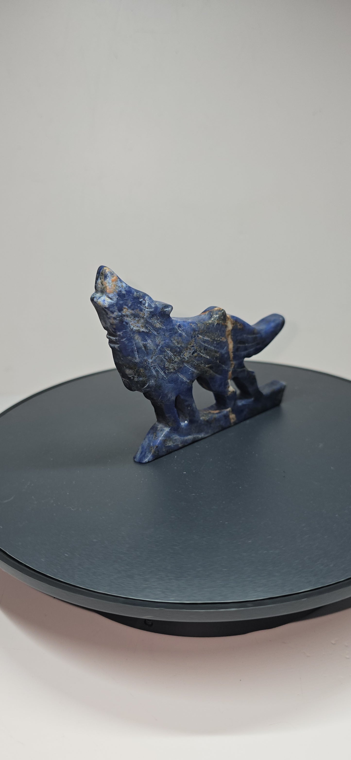 Flat standing sodalite crystal howling wolf