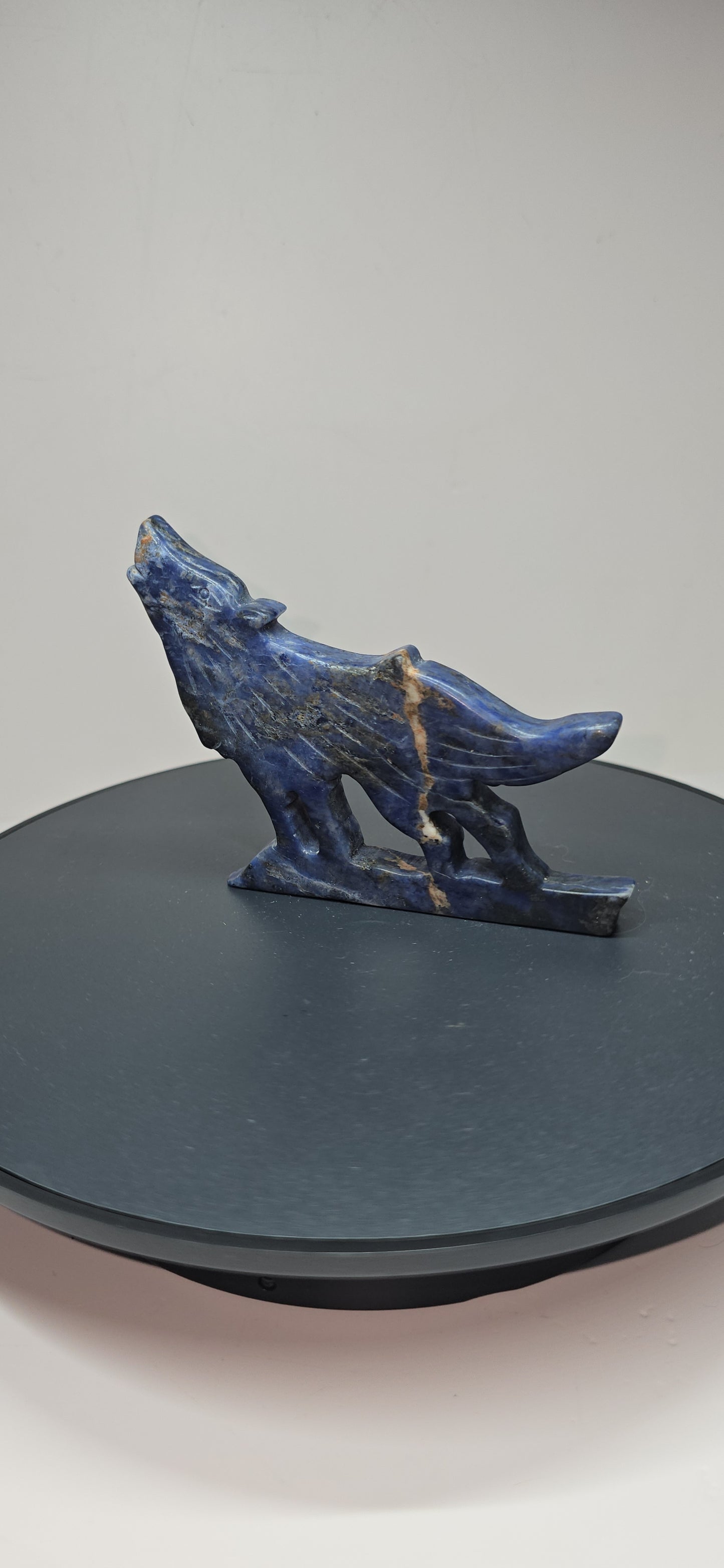 Flat standing sodalite crystal howling wolf