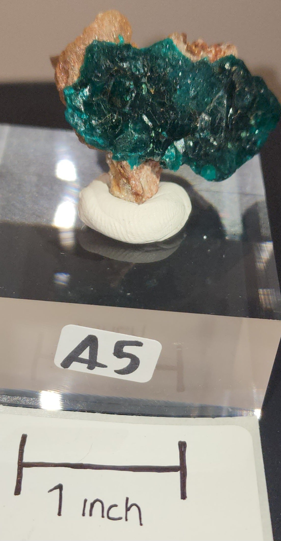 Dioptase raw specimens on acrylic stands