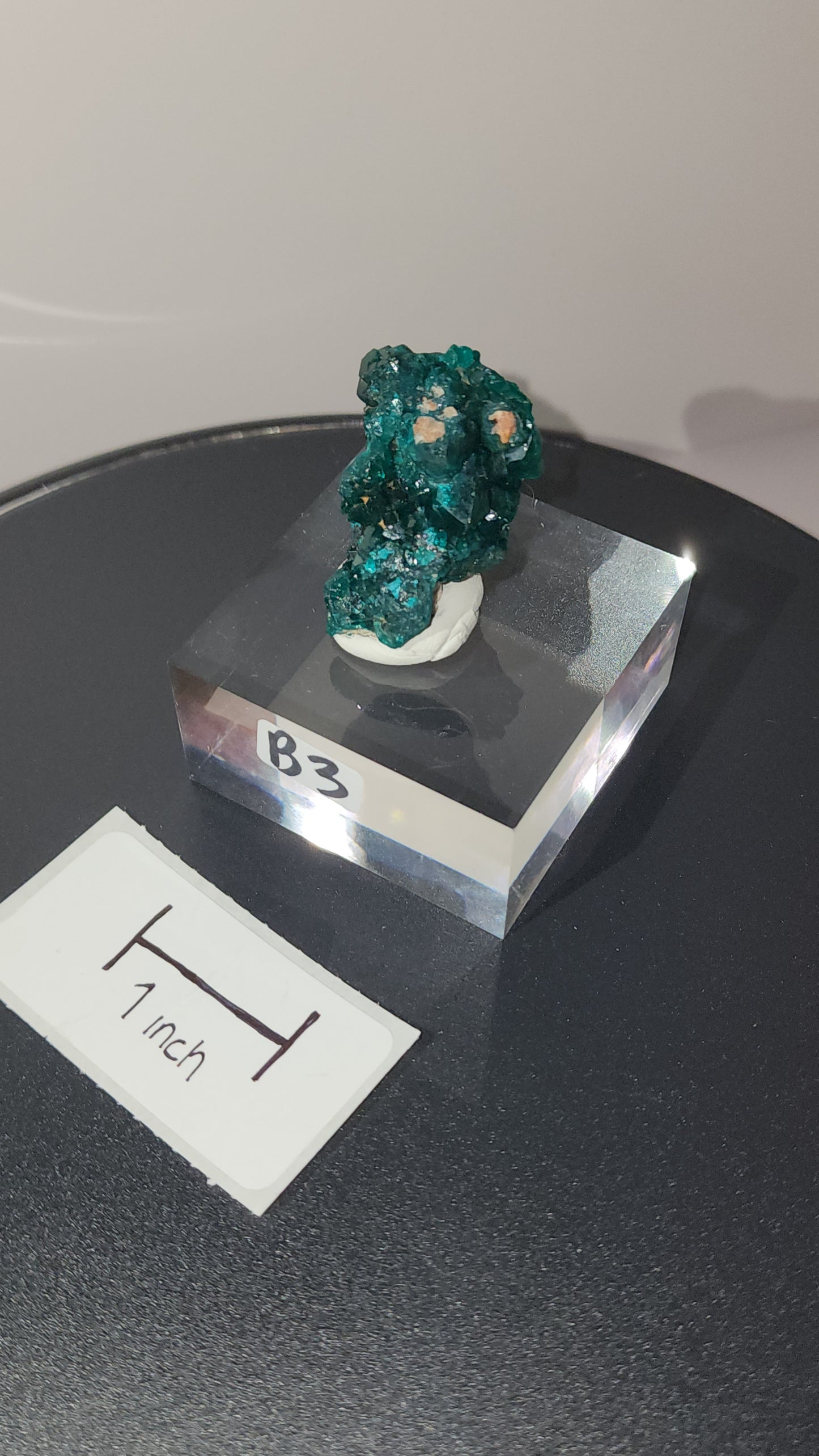 Dioptase raw specimens on acrylic stands