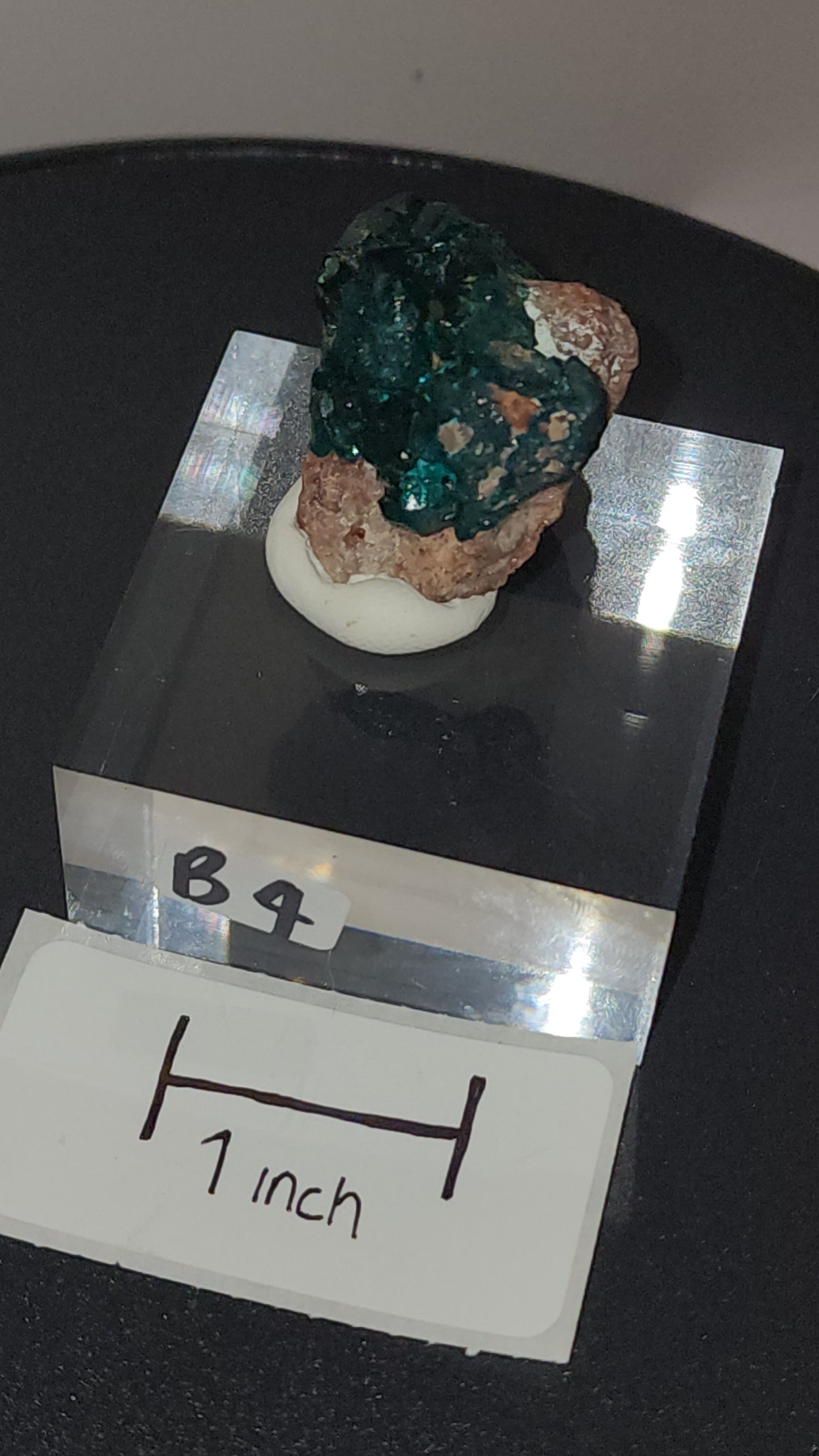 Dioptase raw specimens on acrylic stands