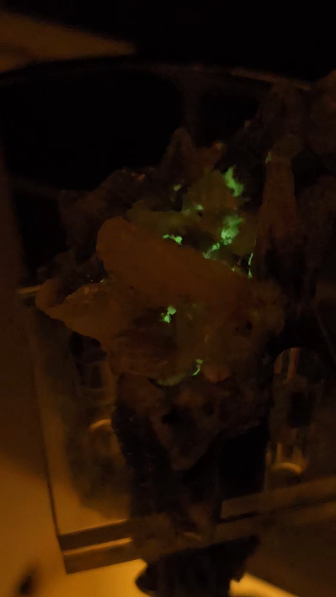 Drusy Quartz Coated Calcite (Fluorescent Peach) quartz Alberts Mountain, Lesotho- some with Phosphorescent mineral.(pseudomorph)