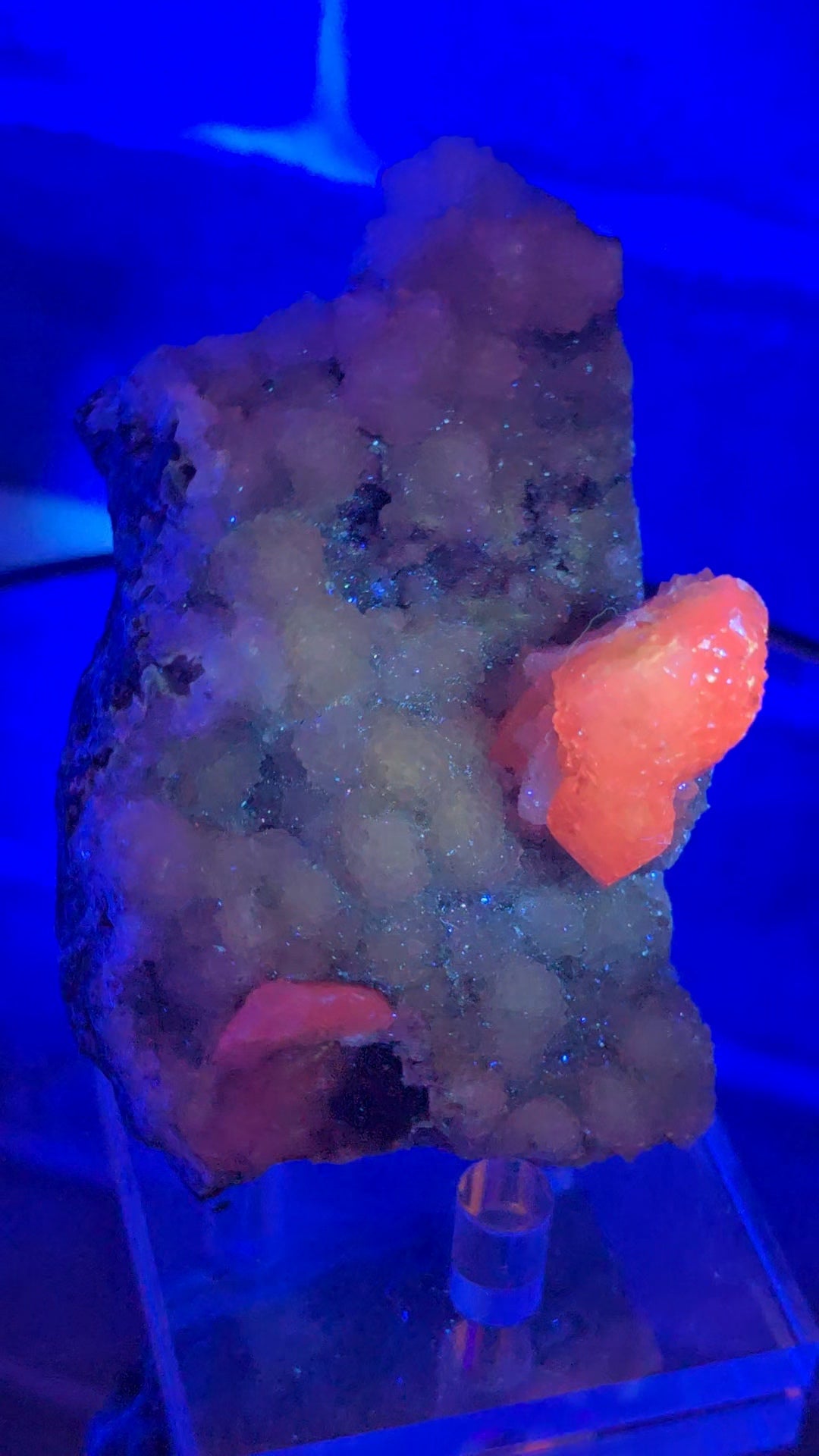 Drusy Quartz Coated Calcite (Fluorescent Peach) quartz Alberts Mountain, Lesotho- some with Phosphorescent mineral.(pseudomorph)