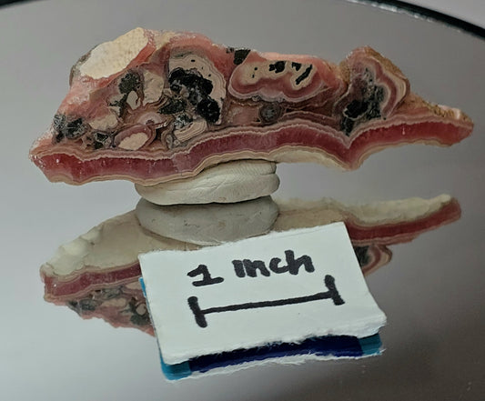 rhodochrosite stalactite slice polished 2 sided from Argentina