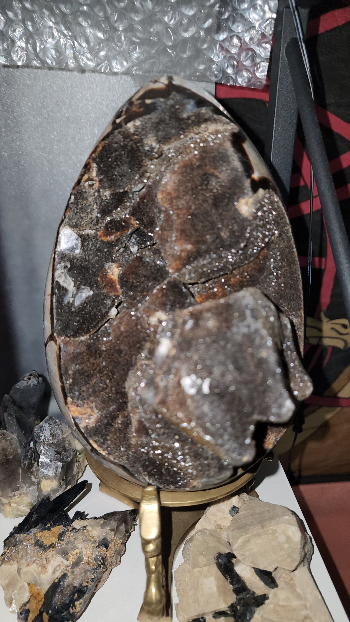 Septerye Sauvage Dragon Egg 50 to 70 million old 8.8 lbs ( Does not include Stand) / fossilized mud bubble