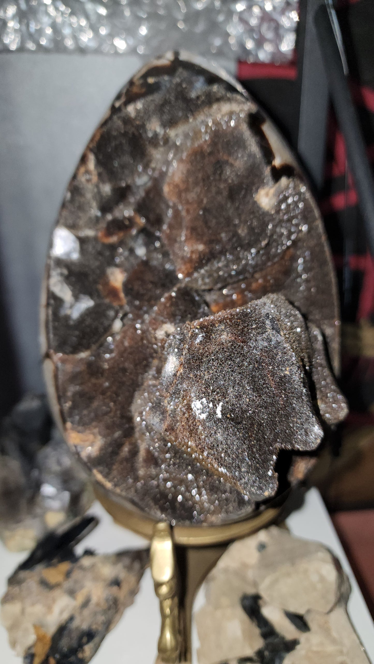 Septerye Sauvage Dragon Egg 50 to 70 million old 8.8 lbs ( Does not include Stand) / fossilized mud bubble