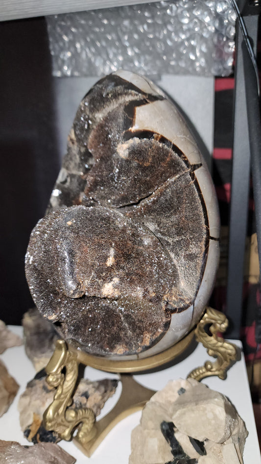 Septerye Sauvage Dragon Egg 50 to 70 million old 8.8 lbs ( Does not include Stand) / fossilized mud bubble
