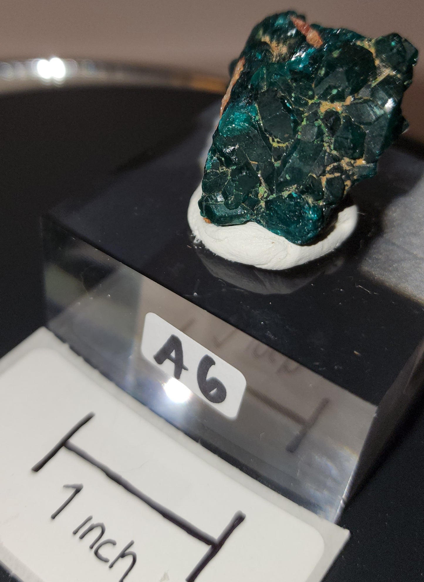 Dioptase raw specimens on acrylic stands