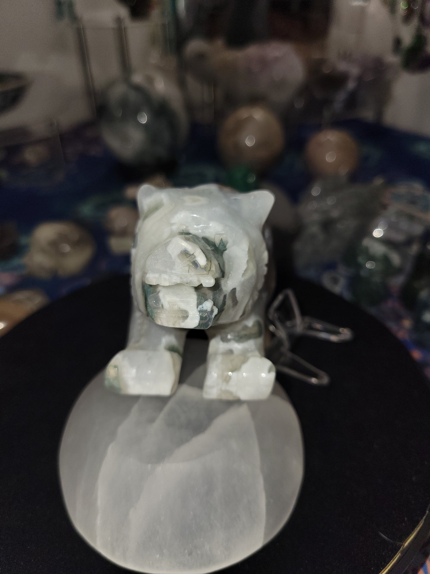 Moss agate tiger