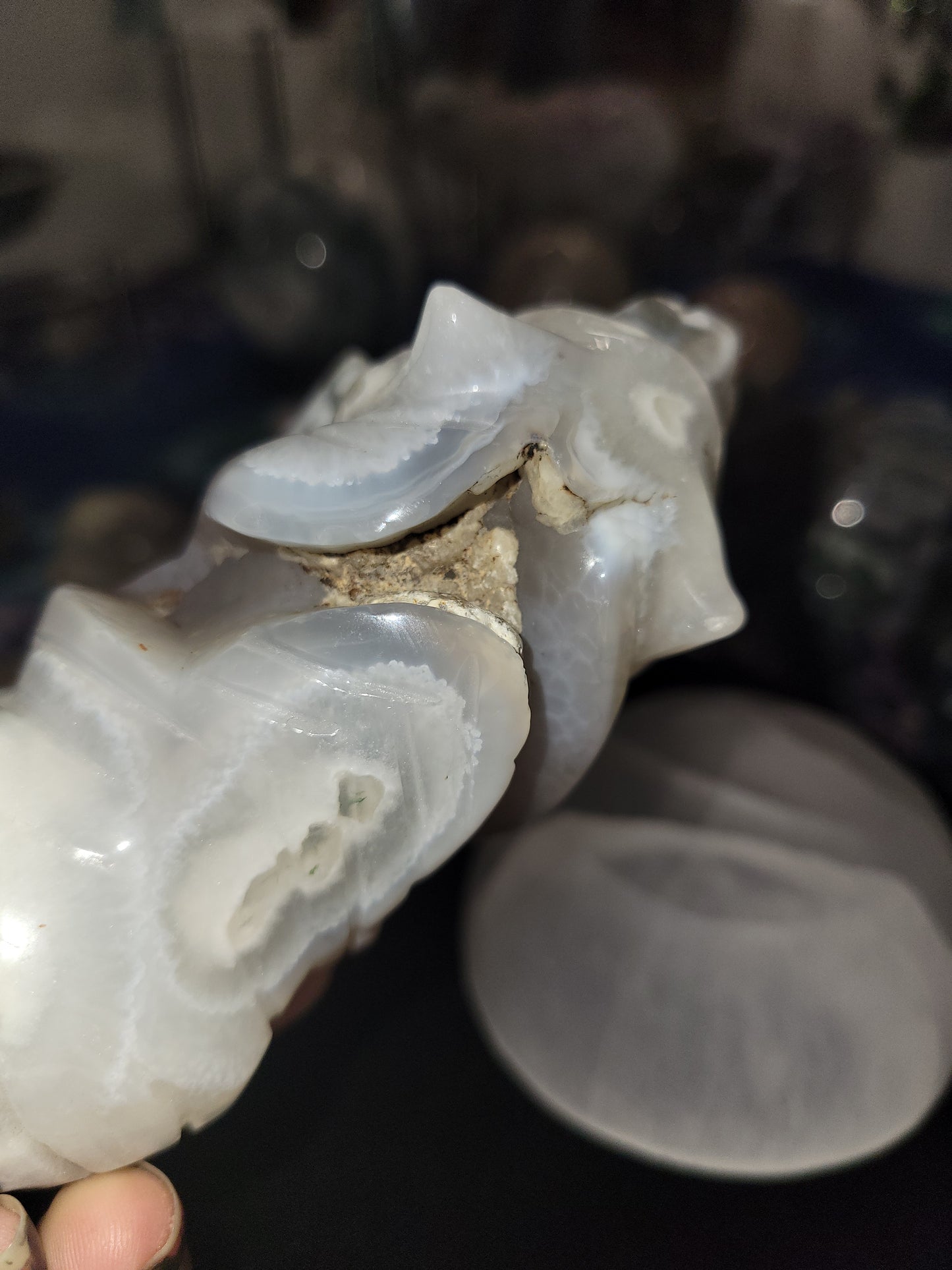 Moss agate tiger